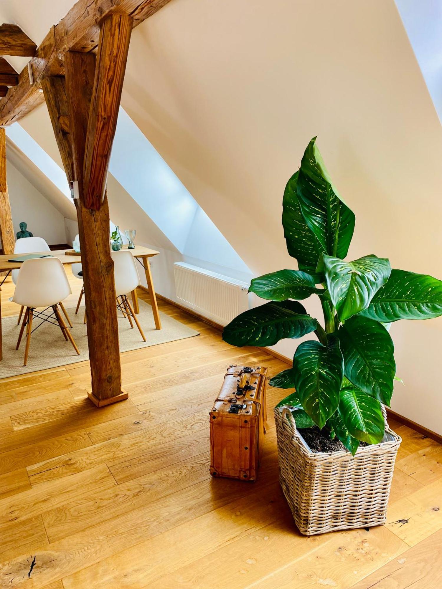 Apartment Am Schlosshof Бизигхайм Екстериор снимка